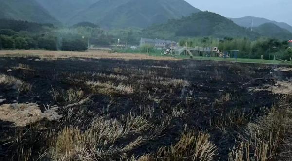 农民焚烧秸秆违法吗?依法对其处以1500元罚款