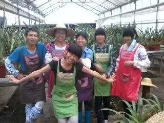 如何种出一棵跨越阶层的生菜？“植物工厂”种植模式便可做到“云种菜”