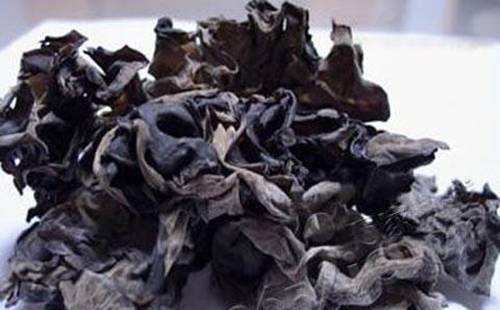 黑木耳吃不好会“杀真菌”，脱毛后不能直接食用，出血患者不宜