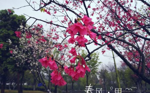 让男人心动的撒娇句子 男生受不了的撒娇语句