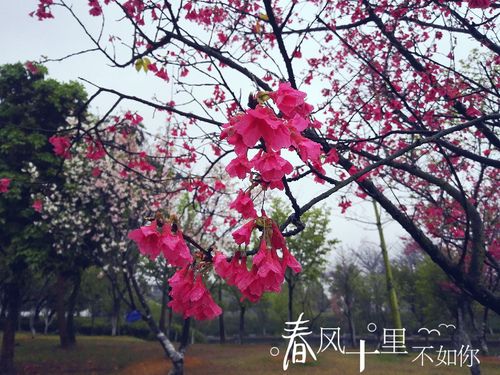 文学