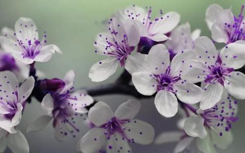 如何产生愉悦感，打PG是一种什么体验