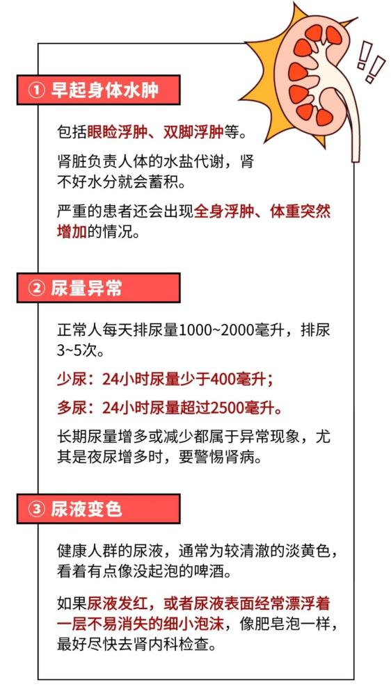 慢性肾病究竟是一种什么病?能治愈吗?