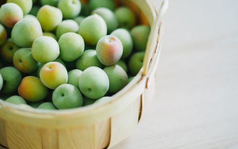小东西好几天没弄了还能吃吗？小东西食欲渐振享受美食