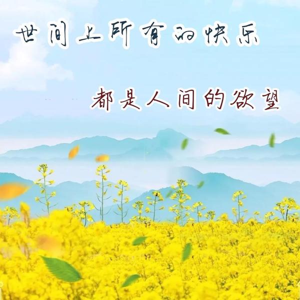 文学