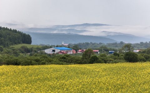 入了心的人一见面就想拥有(把她送上一个又一个巅峰)